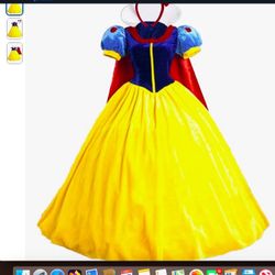 Classic DeLux Princess Costume Adult Queen 