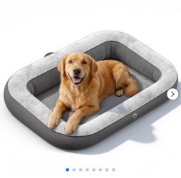 Large Air Dog Bed with Raised Bolster Edges