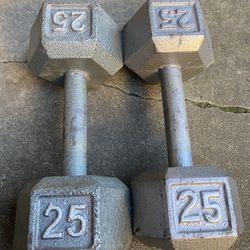 25 LB Dumbbells 