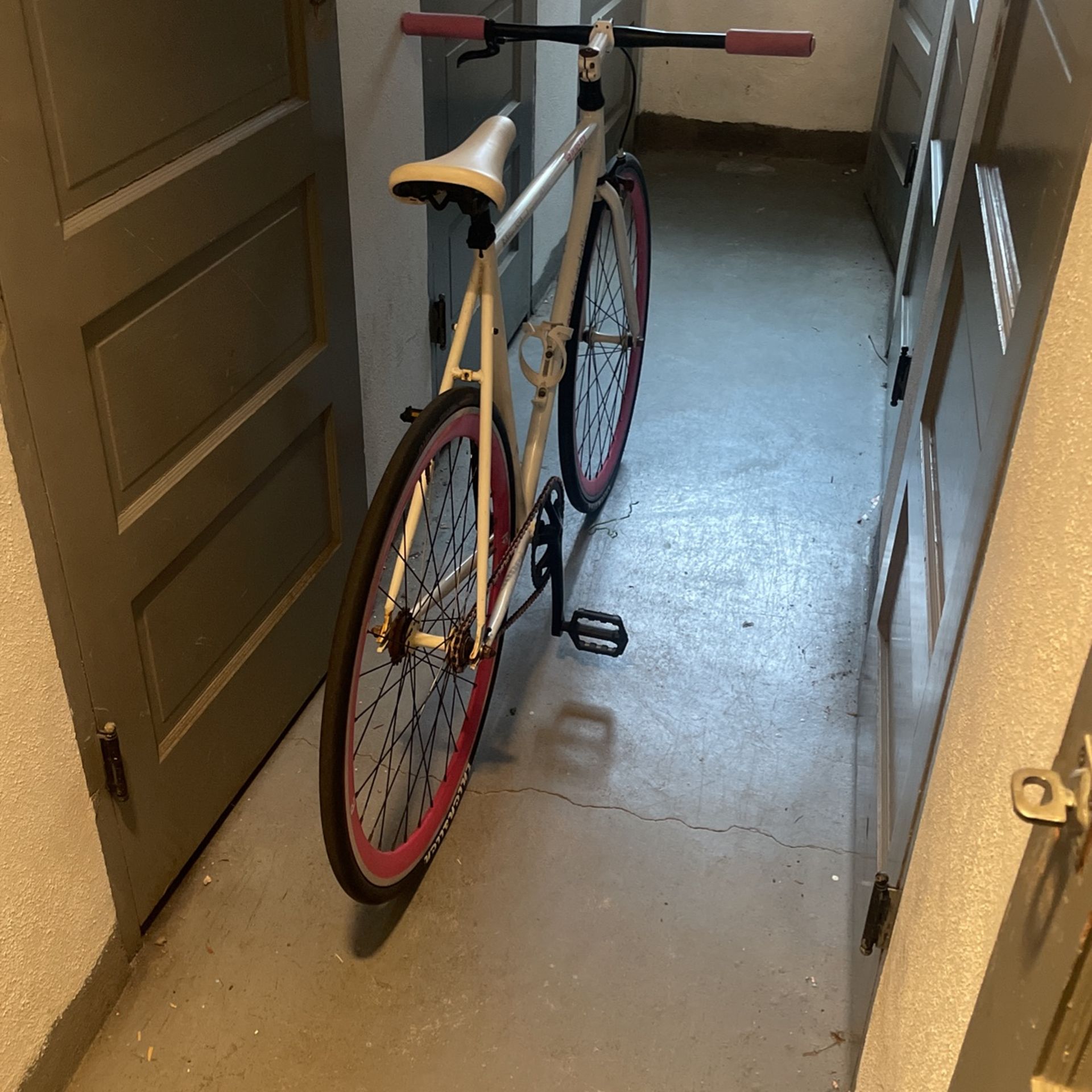 Bicycle