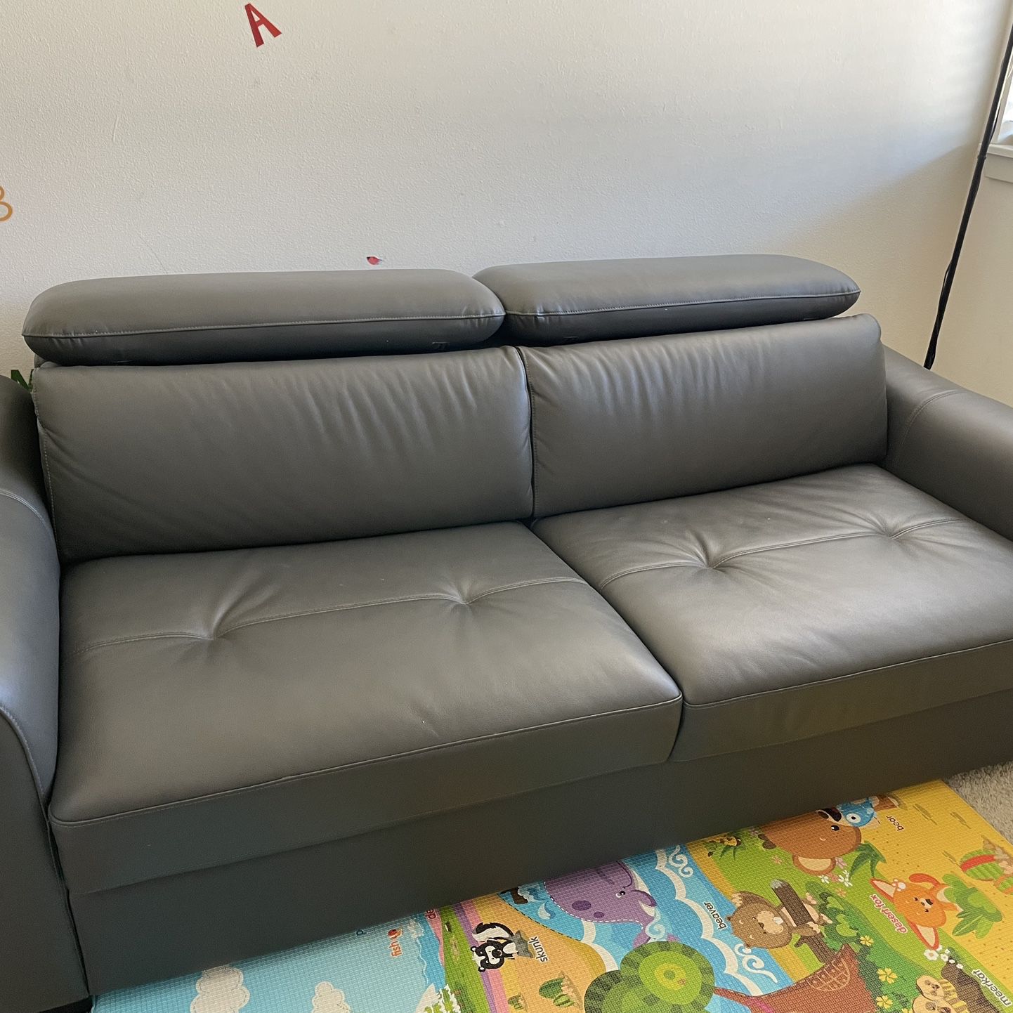 Gray Leather Pullout Sofa 