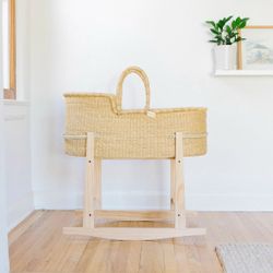 Design Dua Bassinet