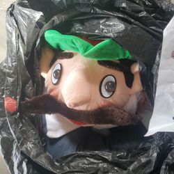 Halloween Costume. Size Large