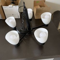 Modern Black Chandelier Light Fixture