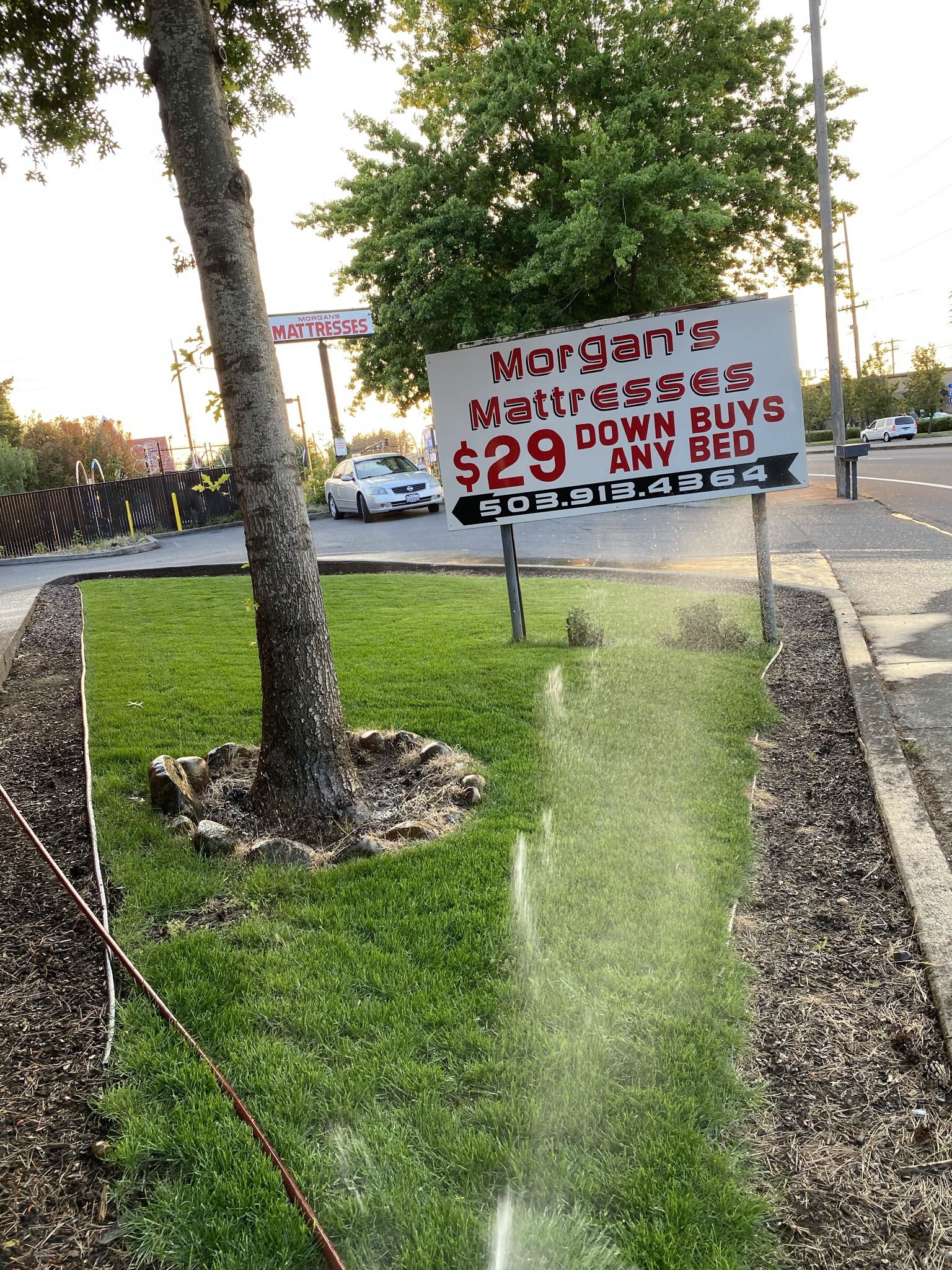 KING SIZE KING KOIL NATURAL COLLECTION MATTRESS & BOX SPRINGS BED SET