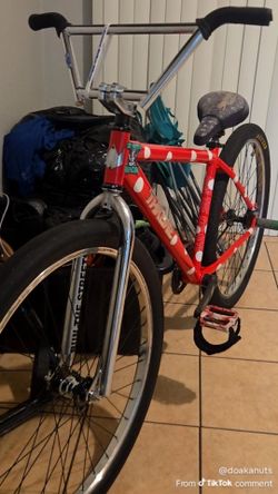 Throne 29er