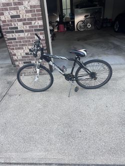 Old Schwinn Bicycle (Repairs Needed) 