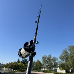 Fishing Pole 