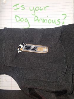 Thunder Shirt For Anxious Dogs