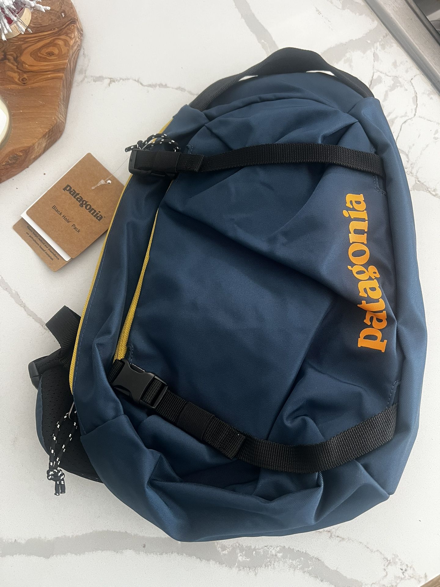 Patagonia Backpack