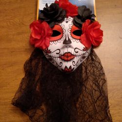 Mask with Veil 