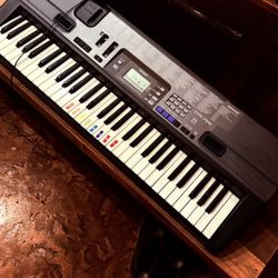 Casio Portable Keyboard. 