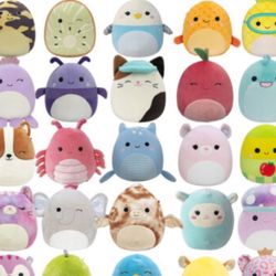 Squishmallow Various Sizes Mystery Pack 