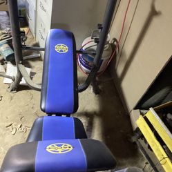 Weight Bench 