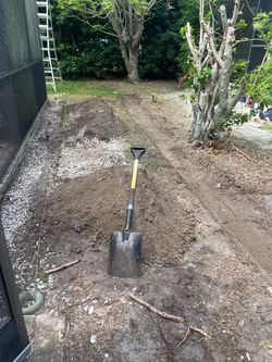 Remove Dirt