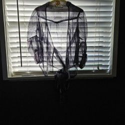 Feline Couture Sheer Top - Medium