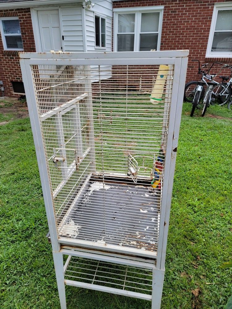 Big Bird Cage