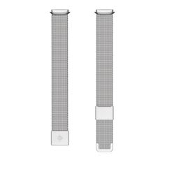 Fitbit Stainless Steel Mesh