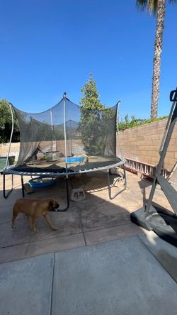 Trrampoline