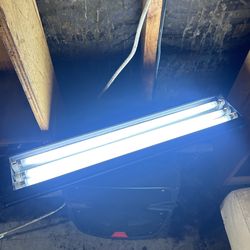 Grow Light 