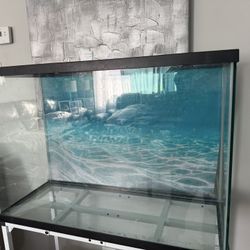 Tank Fish 29-gallon 