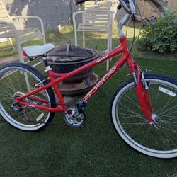 Bike Giant Beach CRUISER TIRES SIZE 26
