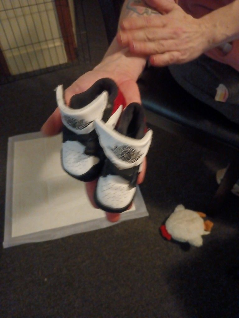 Nike Air Jordan Sneakers 2c