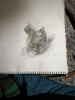 Smart plug bundle trio