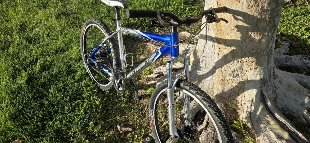 Giant Rainer 26 Inch Mountain Bike