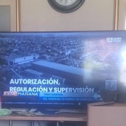 Vizio 