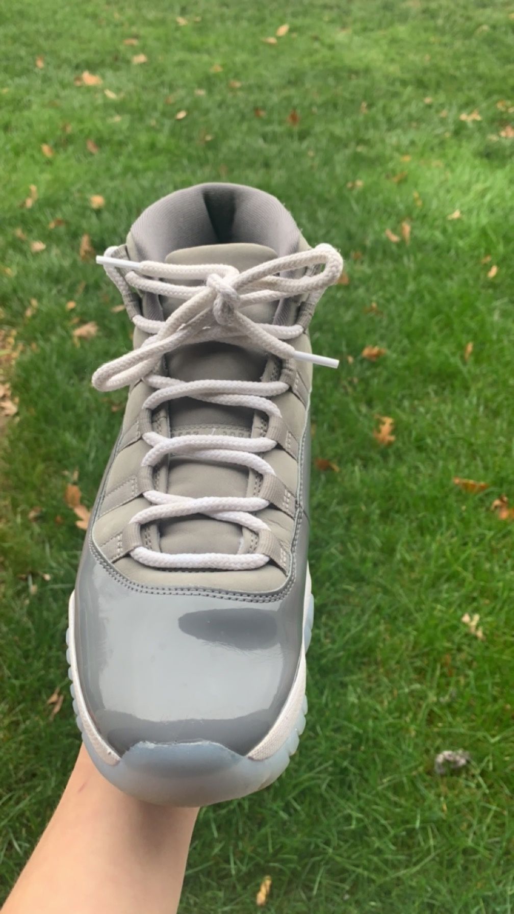 Jordan 11 Cool Grey 