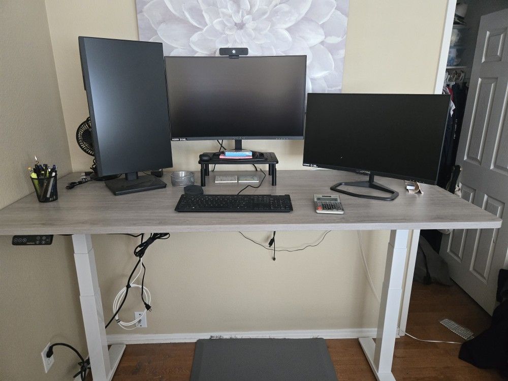 Desk, Flexispot E7 Pro Adjustable