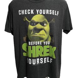 Shrek Graphic T-Shirt - Check Yourself Before You Shrek Yourself Tee, Size Large
