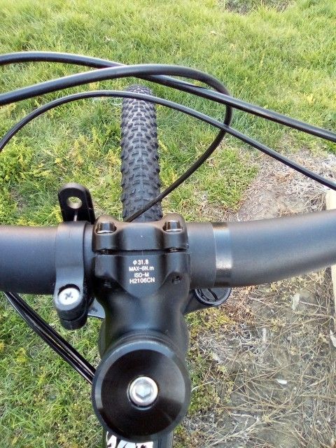 Giant 27 1/2 In New Condition Selling For $450 Dollars