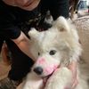 Steven