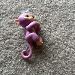 Monkey Kings 