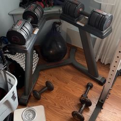 Weider 100 Speedweight