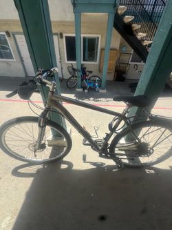 Specialized bike
