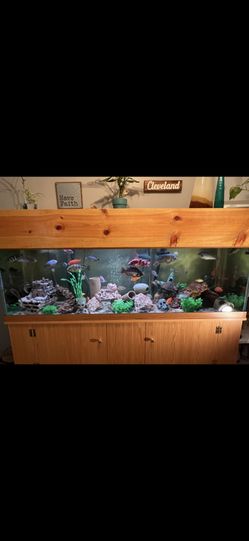 125 Gallon Fish Tank With Stand