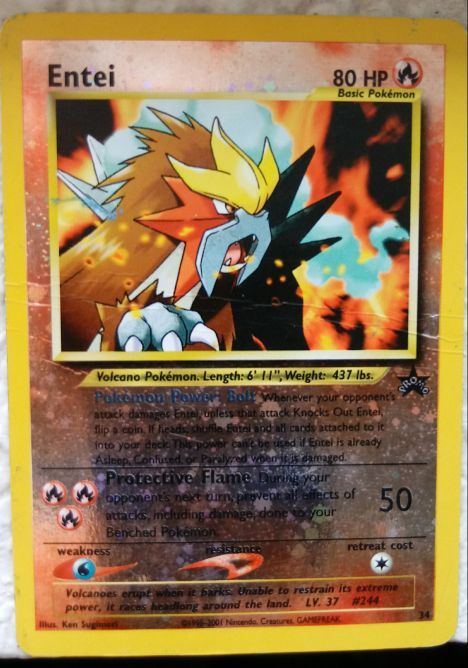Entei Pokemon.