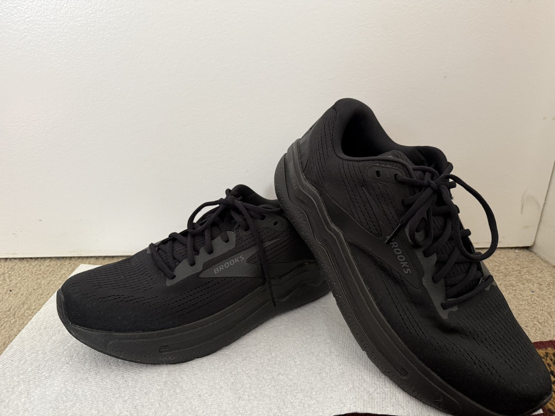 Shoe/brooks
