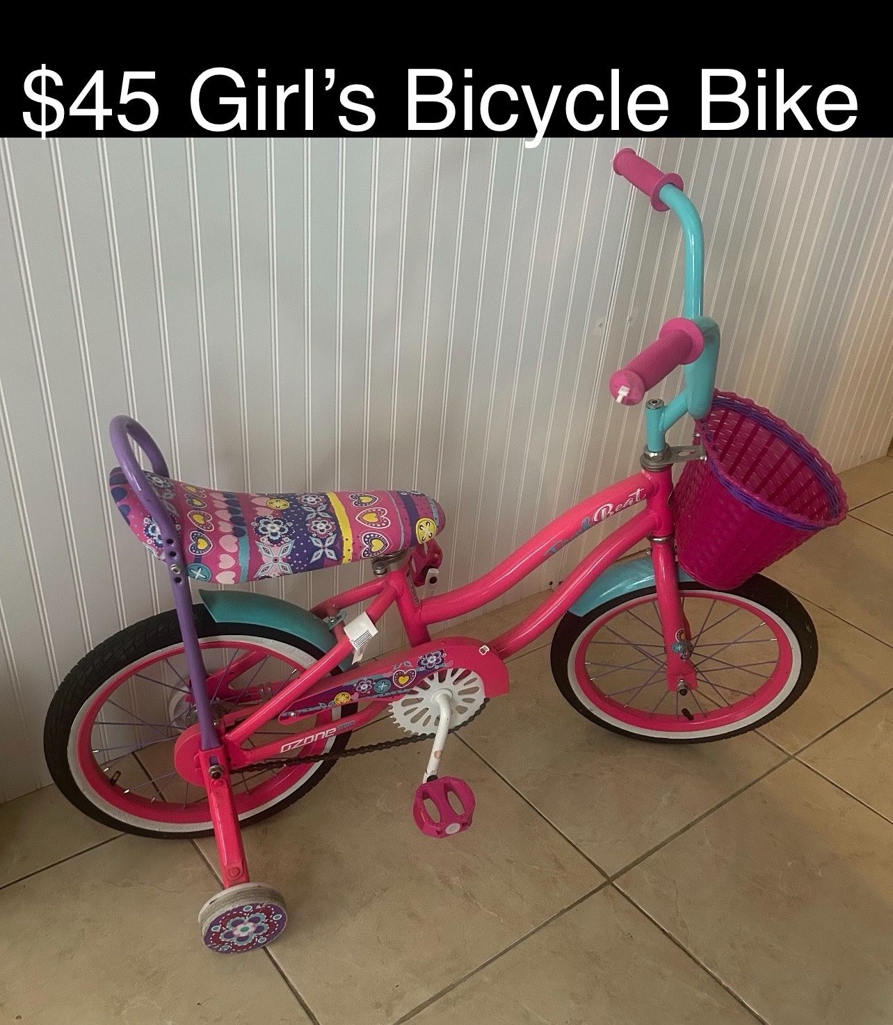 Girl’s Bicycle Bike, Bicicleta de Niña