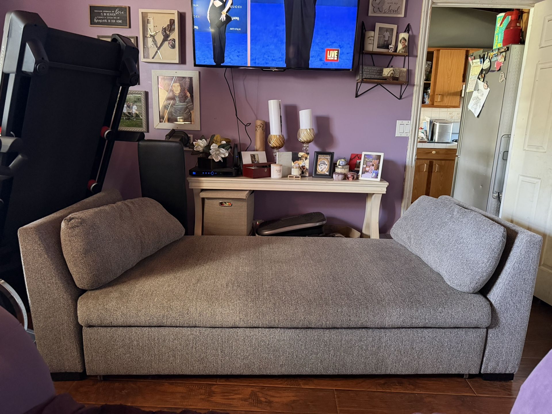 Couch With Pull Out Bed