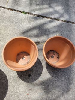 Clay pot