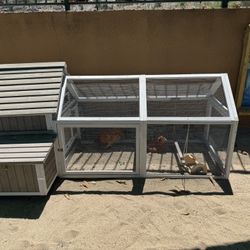 Very New Chicken Coop! 