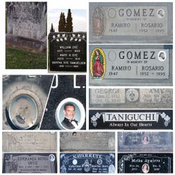 🐰Easter, 💐Mothers Day & 🎩Fathers Day