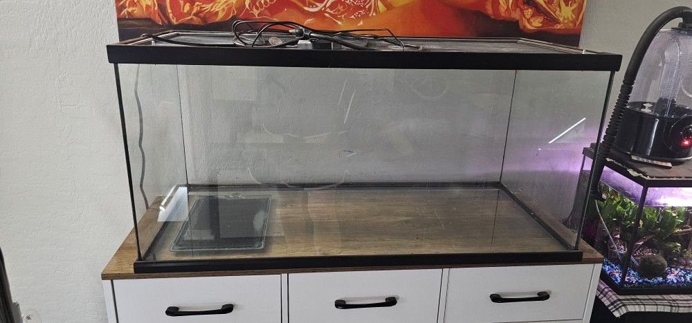 Reptile Tank