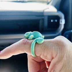 Chameleon enamel Ring  