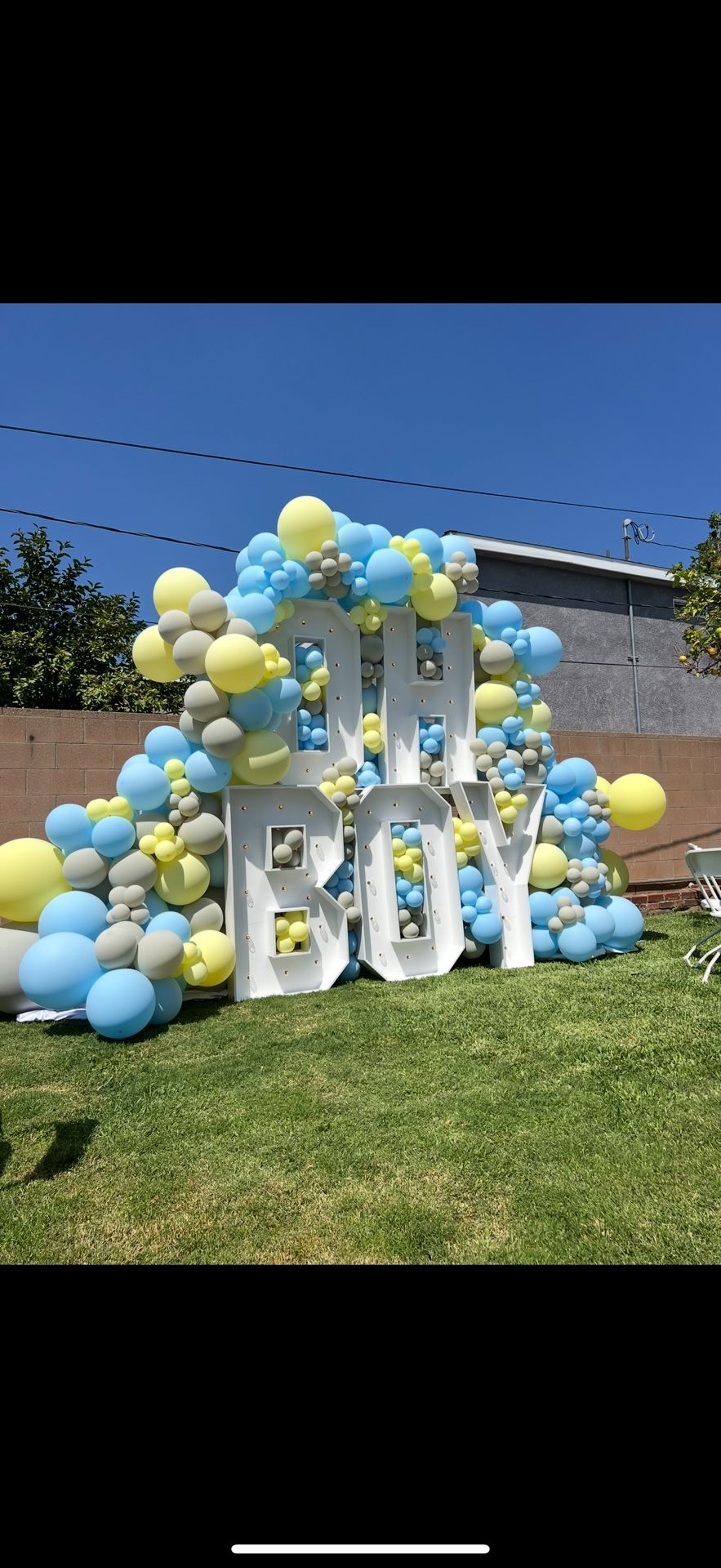 Gender reveal