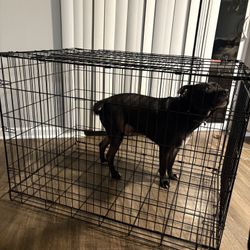 Extra Large Dog Kennel